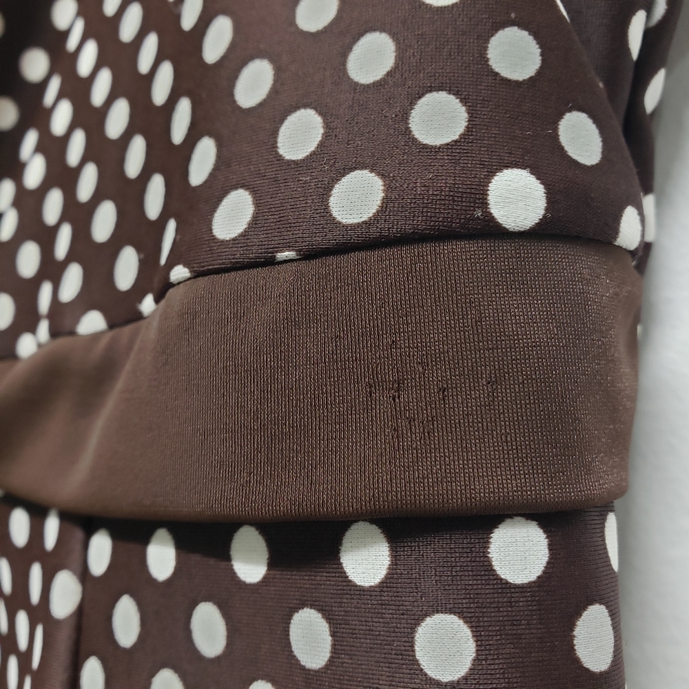 A Shore Fit Swimdress 10 Thigh Solutions One Piece Brown Polka Dot Swim Retro - Picture 2 of 14